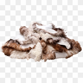 You Can Return Goods For Any Reason At Any Time Within - Fur Clothing, HD Png Download