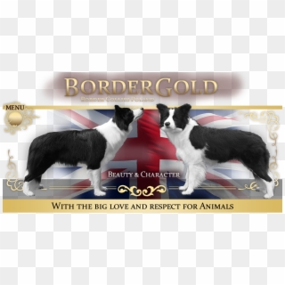 Border Collie, HD Png Download