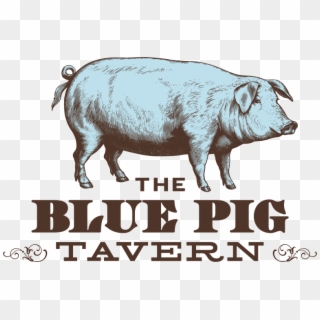The Blue Pig Tavern - Domestic Pig, HD Png Download