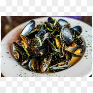 Mussel, HD Png Download