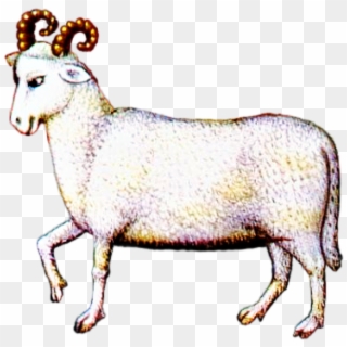#aries #zodiacsign #goat #ram #folkart #illustration - Goat, HD Png Download
