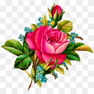 Rose Flower Digital Image - Illustration In Rose Flower, HD Png Download