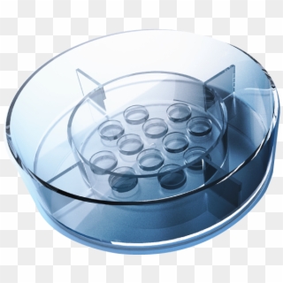 4-well Gps® Dish - Microdrop Culture Embryo, HD Png Download