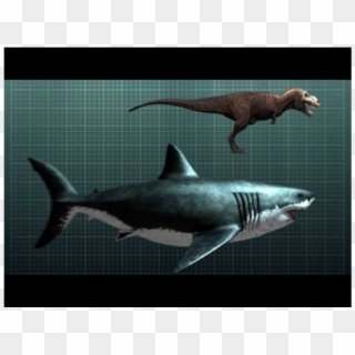 Screen 3 On Flowvella - Megalodon Compared To A Trex, HD Png Download