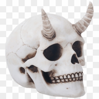 Price Match Policy - Skull With Flower Crown, HD Png Download