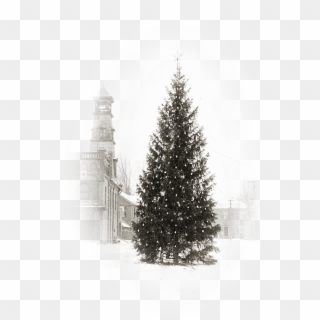 The Dundas Museum And Archives Is Hosting A Christmas - Christmas Tree, HD Png Download