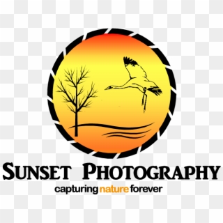 Sunset Photography Logo - Circle, HD Png Download