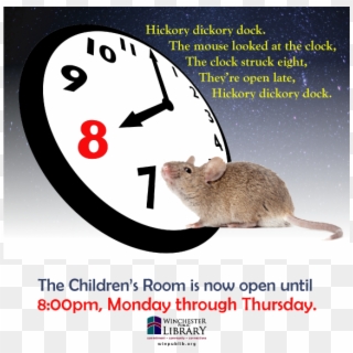8pmclosing Now - Kangaroo Rat, HD Png Download