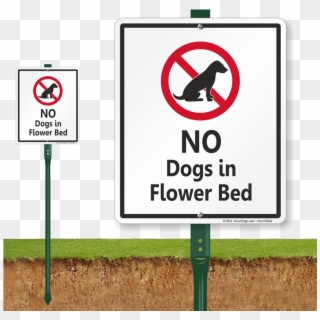No Dogs In Flower Bed Sign - Sign, HD Png Download