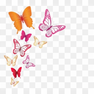 Butterflies Png Image Background - Transparent Background Colorful Butterfly, Png Download
