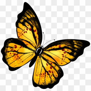 Yellow Butterfly Png, Transparent Png