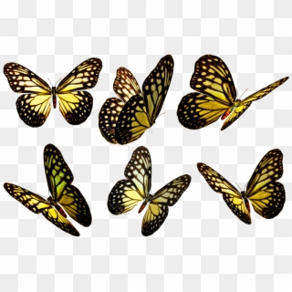 Butterflies Clip Art - Yellow Butterflies Png, Transparent Png