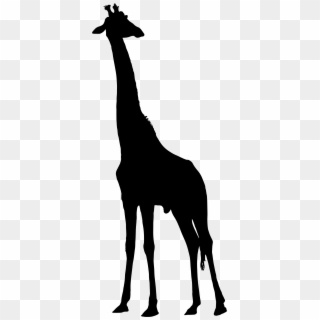 Jpg Free Stock Big Image Png - Giraffe Silhouette Clipart, Transparent Png
