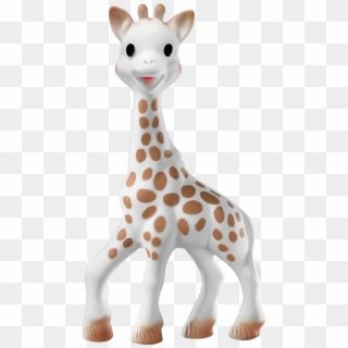 Baby Giraffe Png, Transparent Png