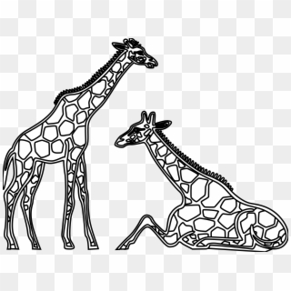 Image Free Library Collection Of Short High Quality - Line Drawings Of Giraffes, HD Png Download