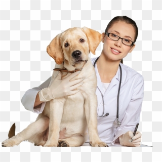 Veterinary Doctor Png , Png Download, Transparent Png