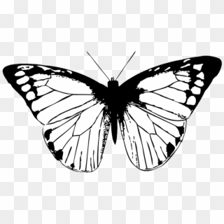 Butterfly Black Butterfly Clipart Png - Black Butterfly Wings Png, Transparent Png