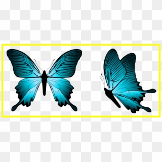 Best Blue Butterfly Png Clipart Image Butterflies Dragonflies - Transparent Blue Butterfly Png, Png Download