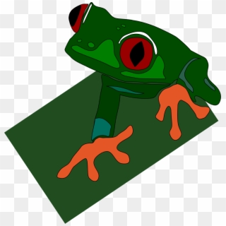 Eyed Frog Png, Transparent Png