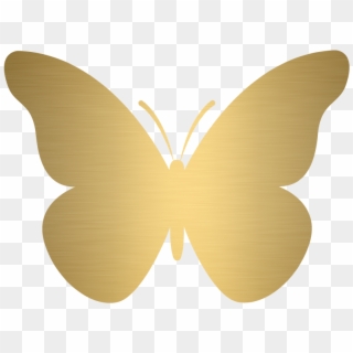 Gold Butterfly Png - Papilio, Transparent Png