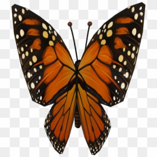 10 Pm 25865 Butterfly Png Sequence 00002 9/25/2014 - Monarch Butterfly, Transparent Png