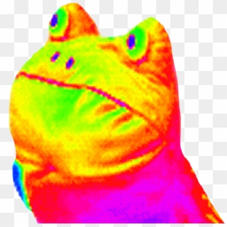 762 X 756 13 - Rainbow Frog Gif Png, Transparent Png