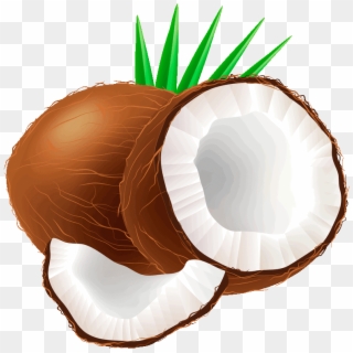 1280 X 800 12 - Coconut Clipart, HD Png Download