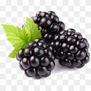 Blackberry Fruit Free Download Png - Blackberry Fruit, Transparent Png