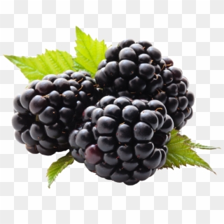 Blackberry Png - Blackberry Fruit, Transparent Png