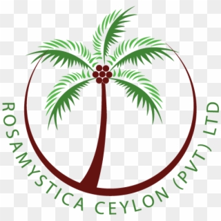 Coconut Logo Png - Virgin Coconut Oil Logo, Transparent Png