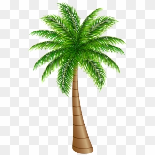 Palm Tree Large Png Clip Art Image - Palm Tree Clipart Png, Transparent Png