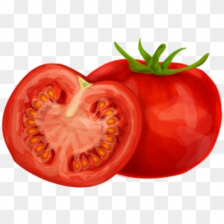Similar Tomato Cliparts - Transparent Tomatos Clip Art, HD Png Download
