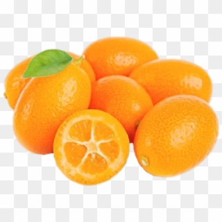 Fresh Kumquat - Kumquat Slice, HD Png Download