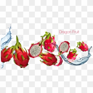 Dragon Fruit - Vtmn E Juice, HD Png Download