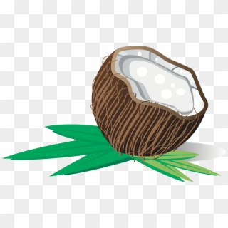 Vector Black And White Library Big Image Png - Coconut, Transparent Png