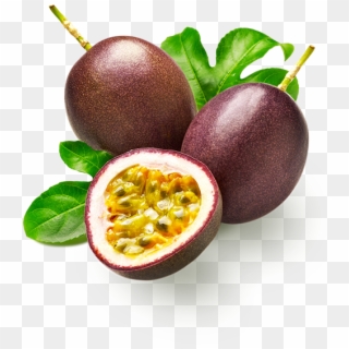 Passionfruit Juice Supplier Of Fruit Juices Concentrates - Passion Fruit Vector Png, Transparent Png