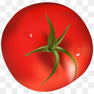 Tomato Png Clipart 483 Bird - Tomato, Transparent Png