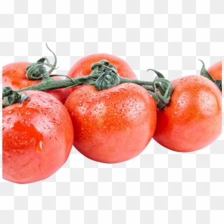 Tomato Png Image1 - Bush Tomato, Transparent Png