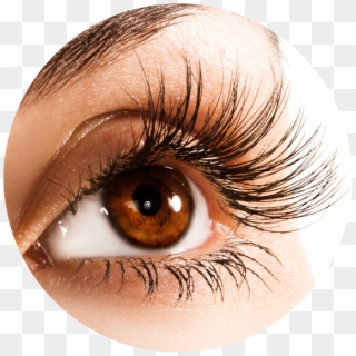 There Is A $20 Non-refundable Deposit Required Upon - Parts Of Body Eye, HD Png Download
