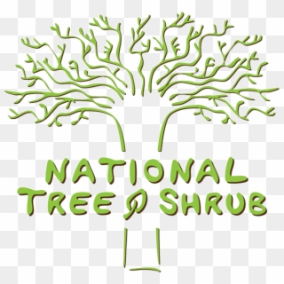 National Tree & Shrub , Png Download, Transparent Png