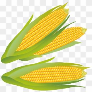 Corn Png Clipart - Corn Clipart Free, Transparent Png