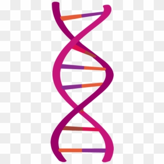 Code A Sorting Game To Show What You Know About Dna - Clipart Dna Png, Transparent Png