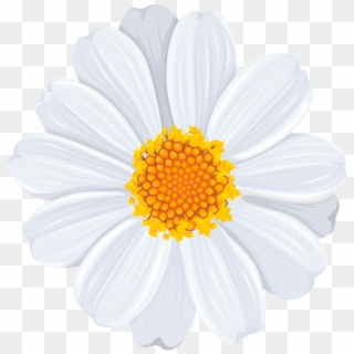 White Daisy Png Transparent Clip Art Image - Flower Pattern White Yellow, Png Download