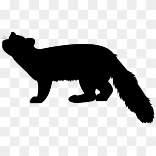 Tail Clipart Running Fox - Marten Clipart Black And White, HD Png Download