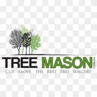 Mason Tree, HD Png Download