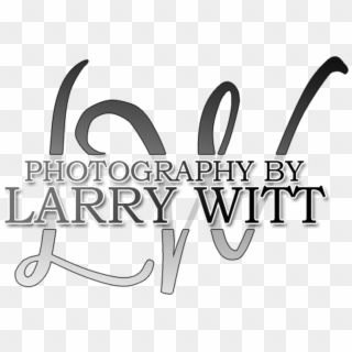 Http - //photographybylarrywitt - - Calligraphy, HD Png Download