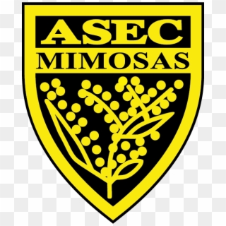 Asec Mimosas - Asec Mimosas Png, Transparent Png