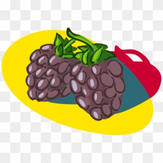 Vector Illustration Of Bramble Fruit Blackberry Edible - Illustration, HD Png Download