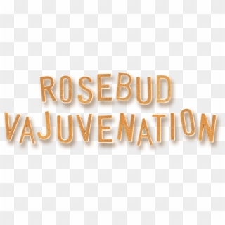 What Is Ministry Of Waxing Rosebud Vajuvenation - Orange, HD Png Download