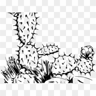 Cactus Clipart Line Drawing - Drawing Of Cactus Plant, HD Png Download